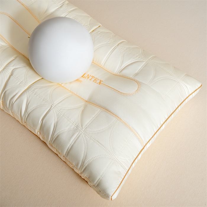 91家纺网 家纺一手货源 找家纺 （总）爱来伊家纺 2025新款大豆乳胶枕枕头枕芯