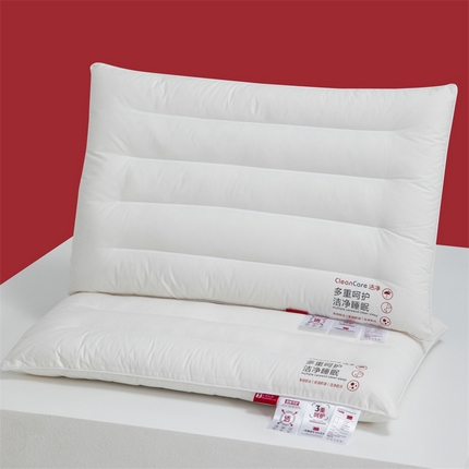 91家纺网 家纺一手货源 找家纺 （总）爱来依2025新款莫代尔水光真丝乳胶枕芯48*74cm