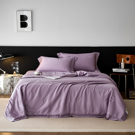 2025新款REZI烫钻款 天丝夏被 rezi 烫钻款 芝兰紫