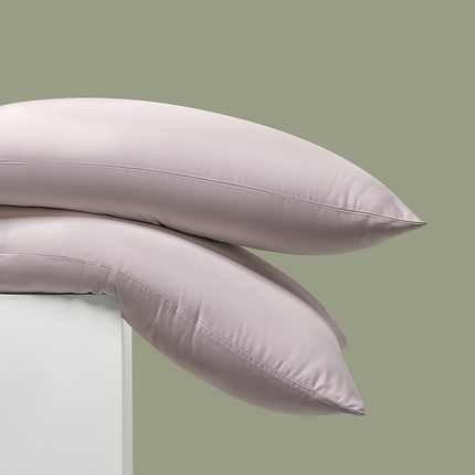 91家纺网 家纺一手货源 找家纺 （总）闲鱼家纺 2025春夏新款小黑标60全棉纯棉四件套系列场景2 单枕套枕套单件