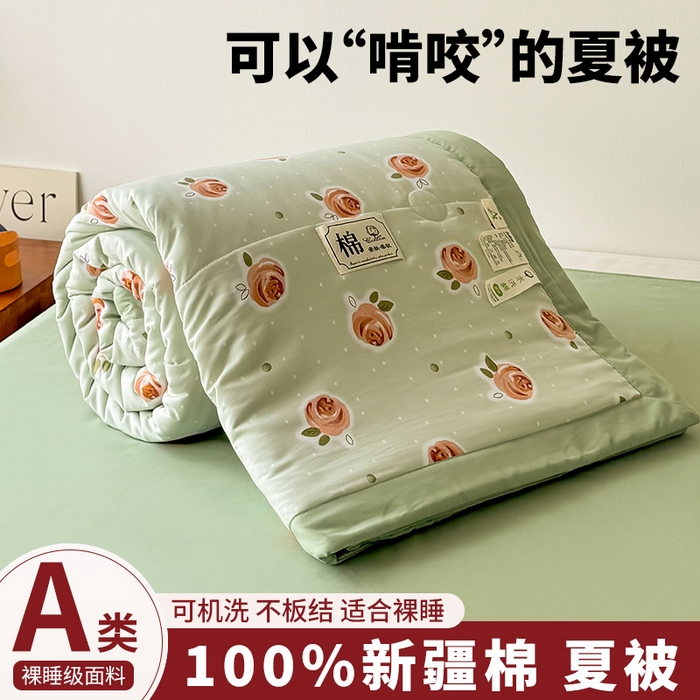 优尚家纺 2025新款水洗棉棉花夏被 花卉清新系列-浅夏玫瑰