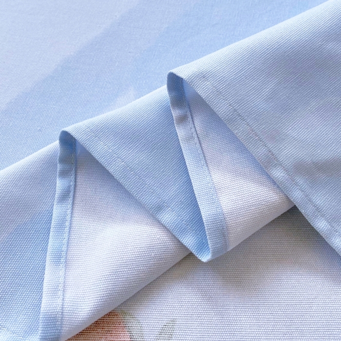 91家纺网 家纺一手货源 找家纺 慕尚家纺 2025新款全棉纯棉老粗布卡通床单款凉席席子 草莓-蓝