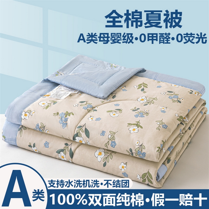 小石头家纺 2025新款A类小清新纯棉印花夏被 艾薇尔