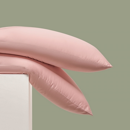 91家纺网 家纺一手货源 找家纺 （总）闲鱼家纺 2025春夏新款小黑标60全棉纯棉四件套系列场景2 单枕套枕套单件