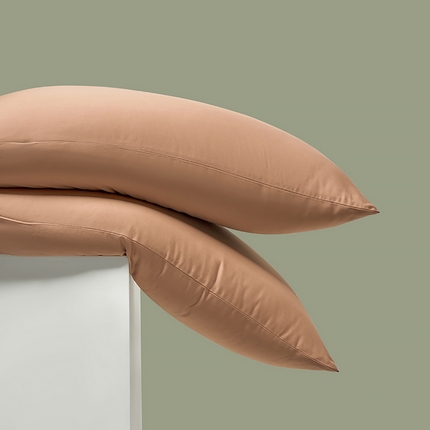 91家纺网 家纺一手货源 找家纺 （总）闲鱼家纺 2025春夏新款小黑标60全棉纯棉四件套系列场景2 单枕套枕套单件