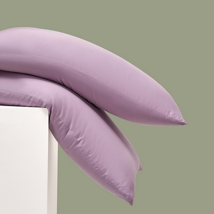 91家纺网 家纺一手货源 找家纺 （总）闲鱼家纺 2025春夏新款小黑标60全棉纯棉四件套系列场景2 单枕套枕套单件