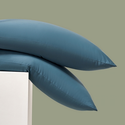 91家纺网 家纺一手货源 找家纺 （总）闲鱼家纺 2025春夏新款小黑标60全棉纯棉四件套系列场景2 单枕套枕套单件