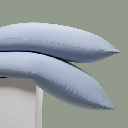 91家纺网 家纺一手货源 找家纺 （总）闲鱼家纺 2025春夏新款小黑标60全棉纯棉四件套系列场景2 单枕套枕套单件