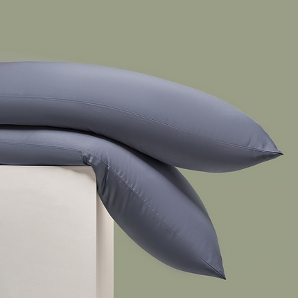 91家纺网 家纺一手货源 找家纺 （总）闲鱼家纺 2025春夏新款小黑标60全棉纯棉四件套系列场景2 单枕套枕套单件