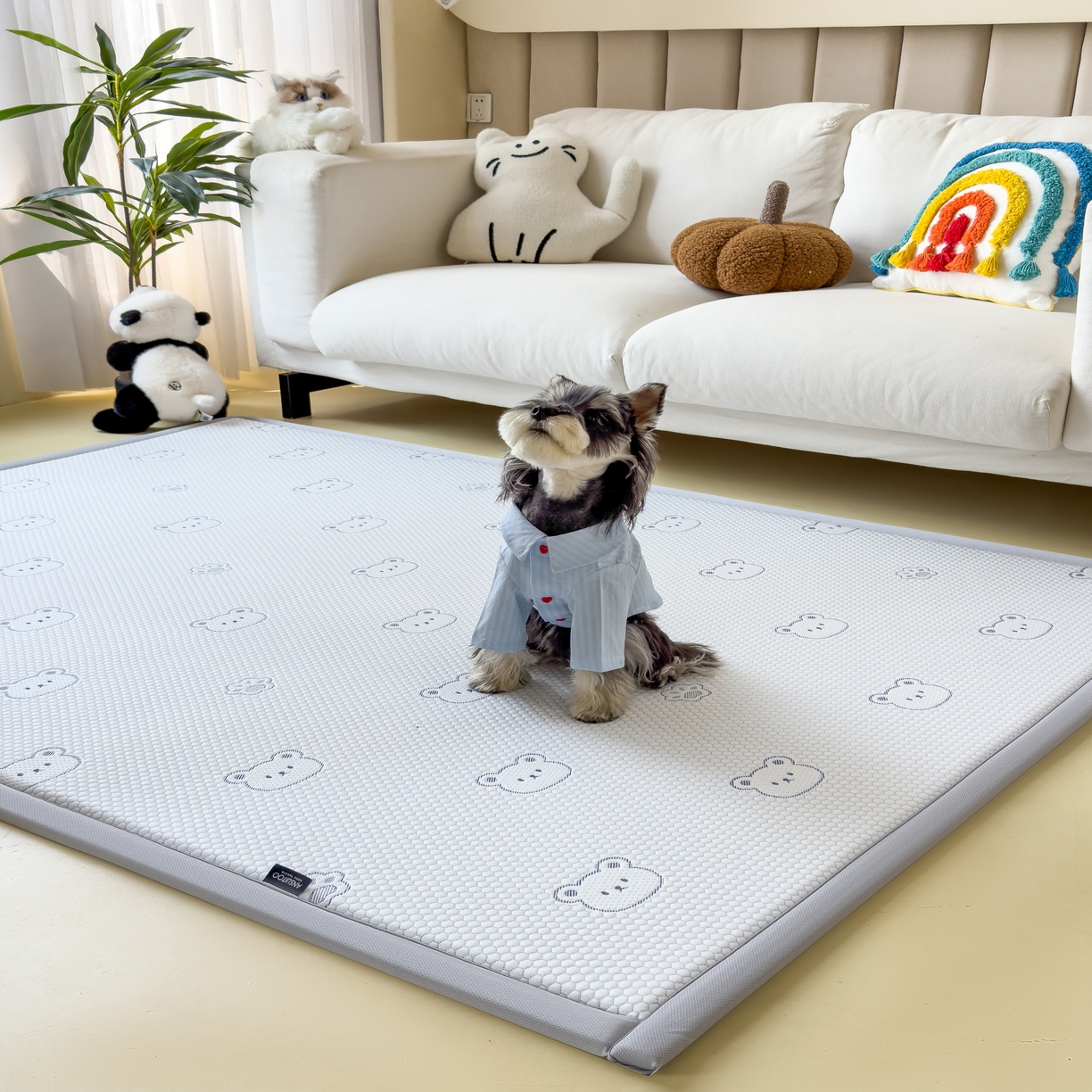 91家纺网 家纺一手货源 找家纺 席世家 2025新款凉感豆豆多功能垫 小熊-蓝