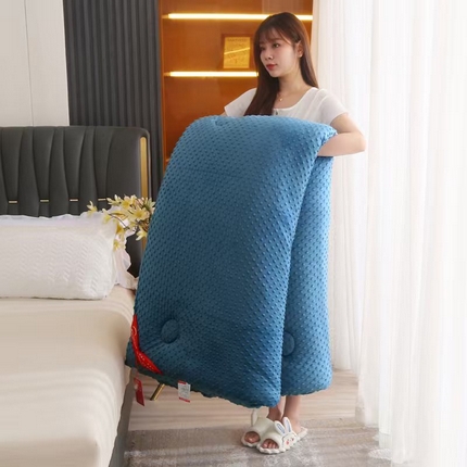 91家纺网 家纺一手货源 找家纺 （总）妙赞2025新款5D双面绒豆豆被被子被芯