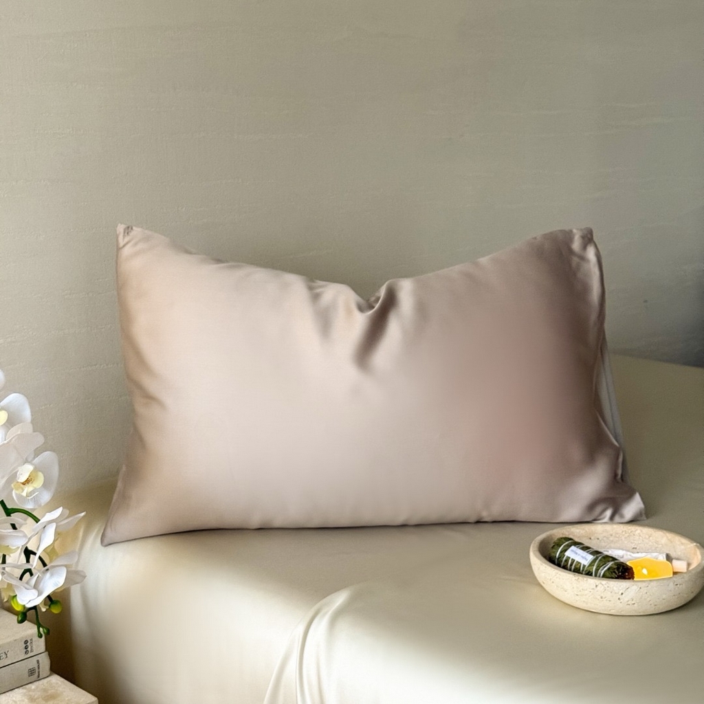 禾时 2025新款纯色双拼兰精天丝单品系列-单枕套 枕套单件 夜影凝香-霜华银