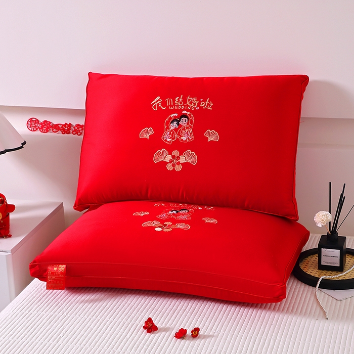 木子晗 2025新款大红枕头婚庆枕芯结婚婚礼喜庆枕头枕芯 我们结婚啦