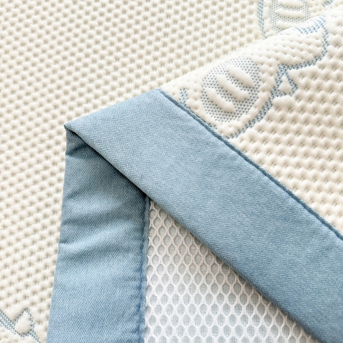 91家纺网 家纺一手货源 找家纺 全季家居 2025新款A类乙纶PE小动物系列凉豆豆席凉席席子 小恐龙-天蓝-床席款