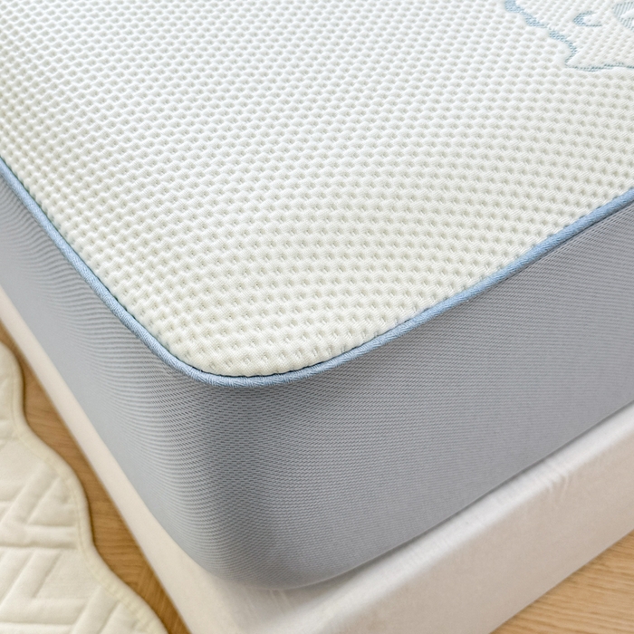 91家纺网 家纺一手货源 找家纺 全季家居 2025新款A类乙纶PE小动物系列凉豆豆席凉席席子 小恐龙-天蓝-床笠款