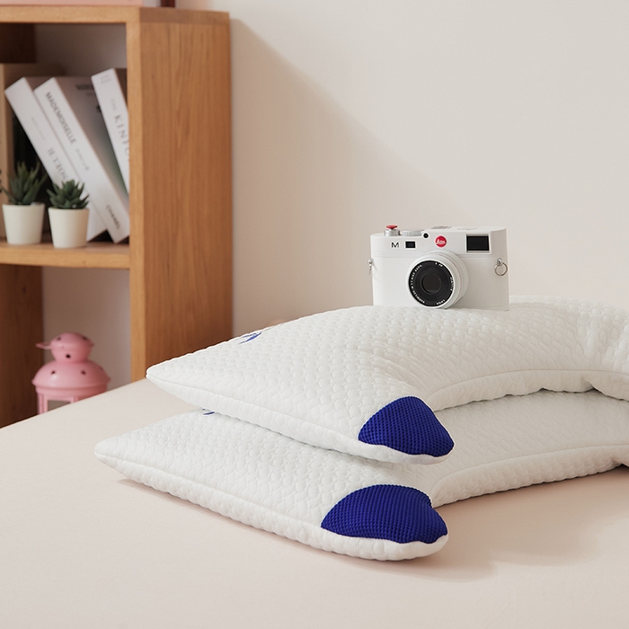 91家纺网 家纺一手货源 找家纺 境月枕芯坊 2025新款可拆洗卡通黑苦荞麦枕头枕芯 蓝色-大号 40*60*6cm/只