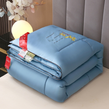 妙赞2025新款水洗真丝艾草艾绒羽丝棉被被子被芯 蓝色