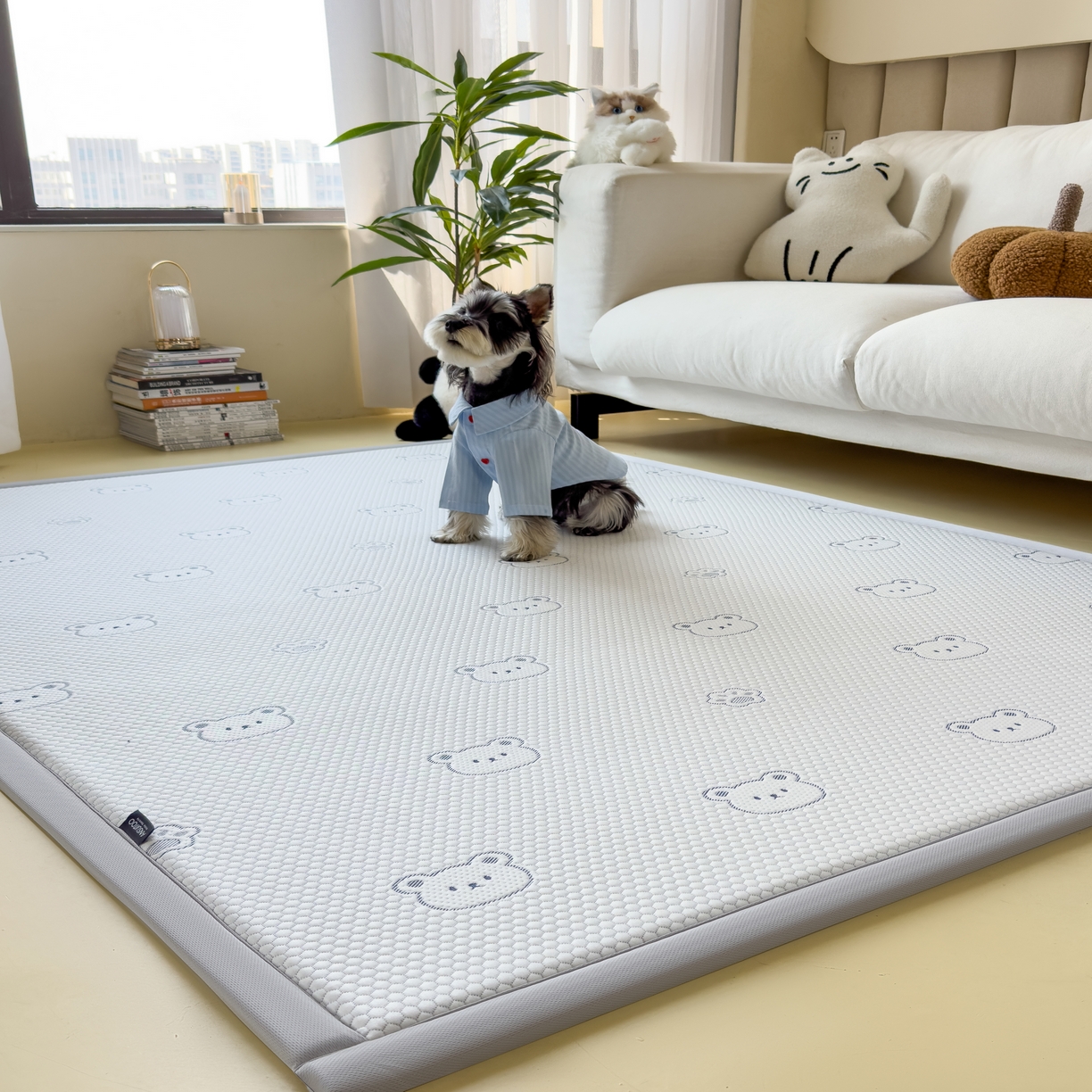 91家纺网 家纺一手货源 找家纺 席世家 2025新款凉感豆豆多功能垫 小熊-蓝