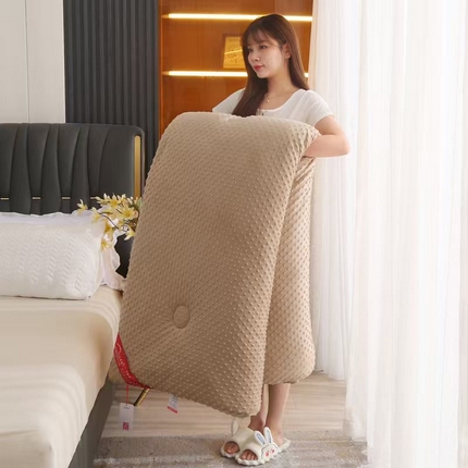 妙赞2025新款5D双面绒豆豆被被子被芯 驼色