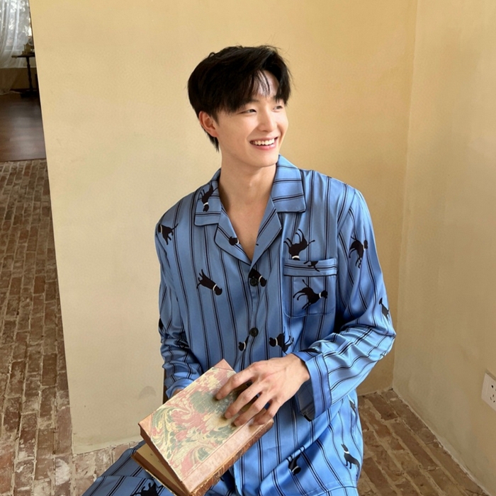 91家纺网 家纺一手货源 找家纺 （总）妍景家居生活馆2025新款冰雪丝男士条纹豹子蓝