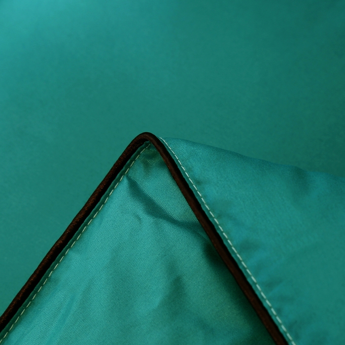 91家纺网 家纺一手货源 找家纺 妙赞2025新款水洗真丝艾草艾绒羽丝棉被被子被芯 绿色