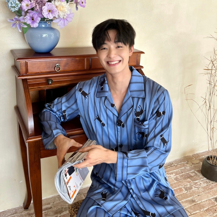 91家纺网 家纺一手货源 找家纺 （总）妍景家居生活馆2025新款冰雪丝男士条纹豹子蓝