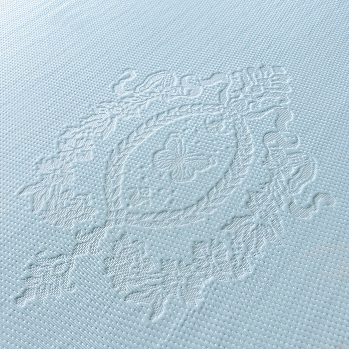 91家纺网 家纺一手货源 找家纺 布卢姆床垫2025新款A类PE乙纶冰豆豆床笠款凉席 蝴蝶花镜 蓝