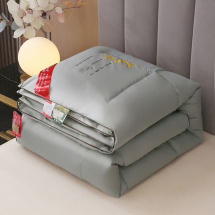 妙赞2025新款水洗真丝艾草艾绒羽丝棉被被子被芯 灰色