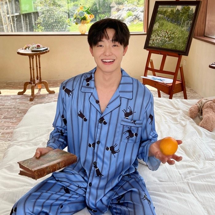 91家纺网 家纺一手货源 找家纺 （总）妍景家居生活馆2025新款冰雪丝男士条纹豹子蓝