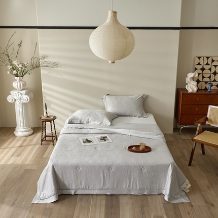 91家纺网 家纺一手货源 找家纺 （总）黛舒家居 2025新款60S兰精天丝精美提花夏被-艾迪斯