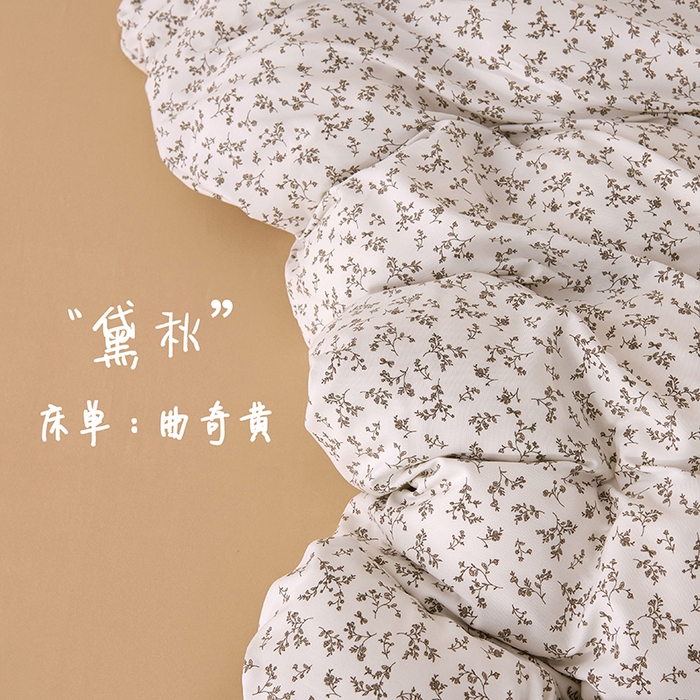 爱诗诺家纺 2025新款有氧高克重针织棉双层纱四件套 黛秋