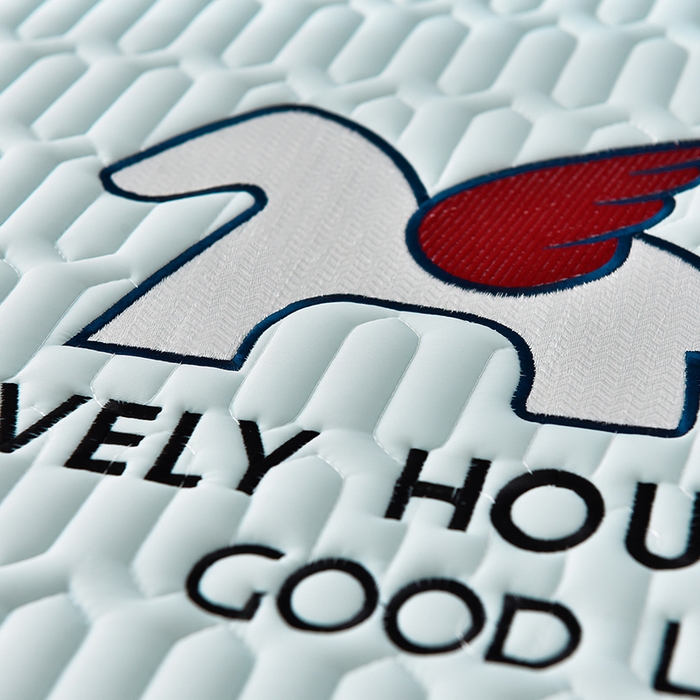 91家纺网 家纺一手货源 找家纺 炫拼家纺 2025春夏新款0.5加厚床笠乳胶凉席-小飞马系列 小飞马-冰雪蓝