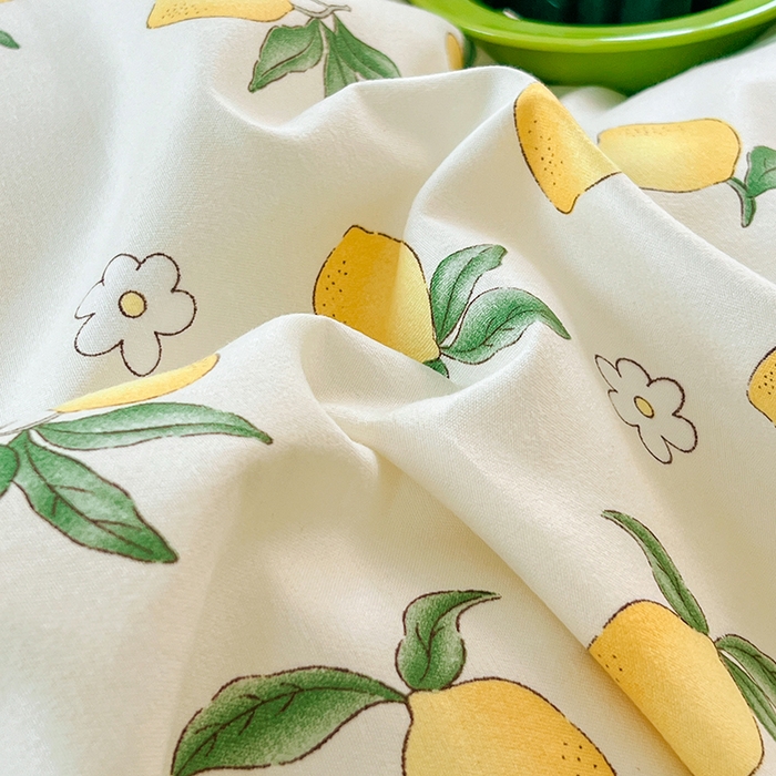 91家纺网 家纺一手货源 找家纺 世爵 2025新款磨毛印花单被套 清香柠檬