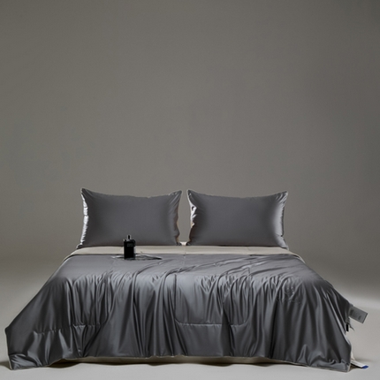 CINNY馨宜 2025新款水光锦氨凉感夏被空调被夏凉被 西风灰