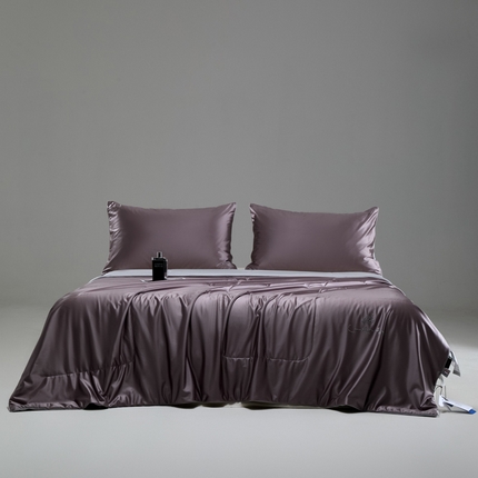 CINNY馨宜 2025新款水光锦氨凉感夏被空调被夏凉被 凝夜紫