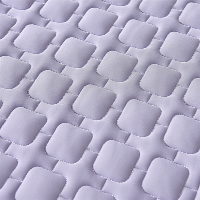 91家纺网 家纺一手货源 找家纺 布卢姆床垫 2025年新款A类12mm加厚乳胶凉席 丁香紫