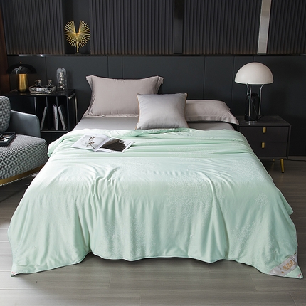 91家纺网 家纺一手货源 找家纺 （总）鑫田家纺 2025新款100%桑蚕丝填充蚕丝被夏凉被高档提花面料