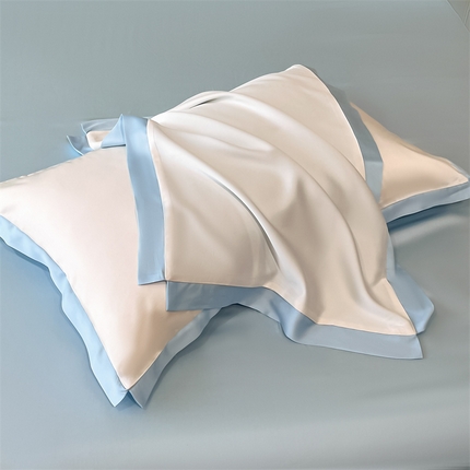 圣比熊 2025新款水洗真丝枕套冰丝凉感枕头套夏天薄款枕芯套 奶油浅蓝