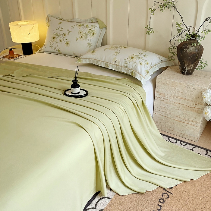 91家纺网 家纺一手货源 找家纺 （总）春皖家纺 2025春夏新款A类莱赛尔纤维印花B版单床单 床单单件-风格二