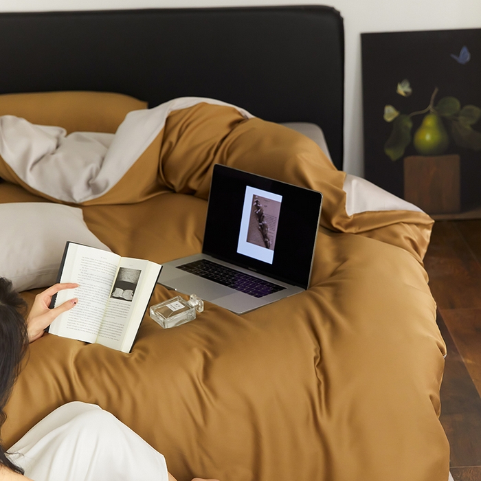 91家纺网 家纺一手货源 找家纺 咏绒家纺工厂店 2025新款60S奥地利兰精天丝轻奢四件套系列（风格二） 敦煌色-曙光银