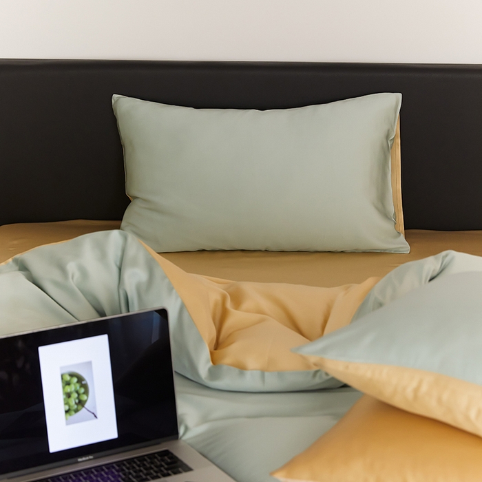 91家纺网 家纺一手货源 找家纺 咏绒家纺工厂店 2025新款60S奥地利兰精天丝轻奢四件套系列（风格二） 浅艾绿-香槟金