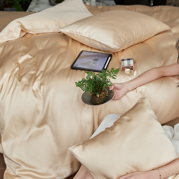 91家纺网 家纺一手货源 找家纺 咏绒家纺工厂店 2025新款60S奥地利兰精天丝轻奢四件套系列（风格二） 沙茶色