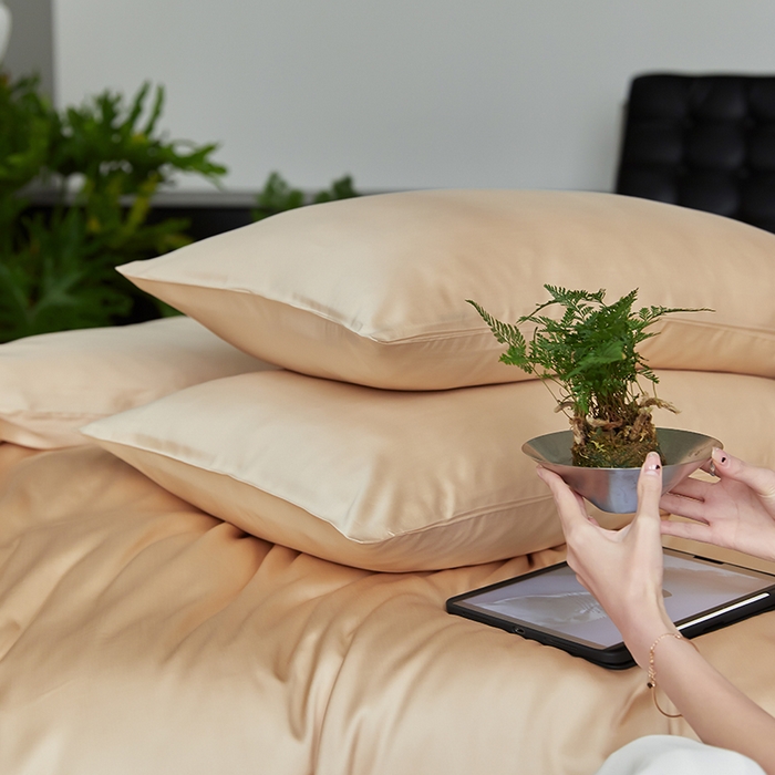 91家纺网 家纺一手货源 找家纺 咏绒家纺工厂店 2025新款60S奥地利兰精天丝轻奢四件套系列（风格二） 沙茶色