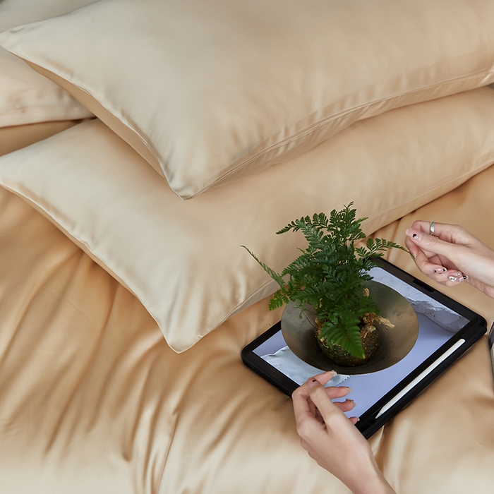 91家纺网 家纺一手货源 找家纺 咏绒家纺工厂店 2025新款60S奥地利兰精天丝轻奢四件套系列（风格二） 沙茶色