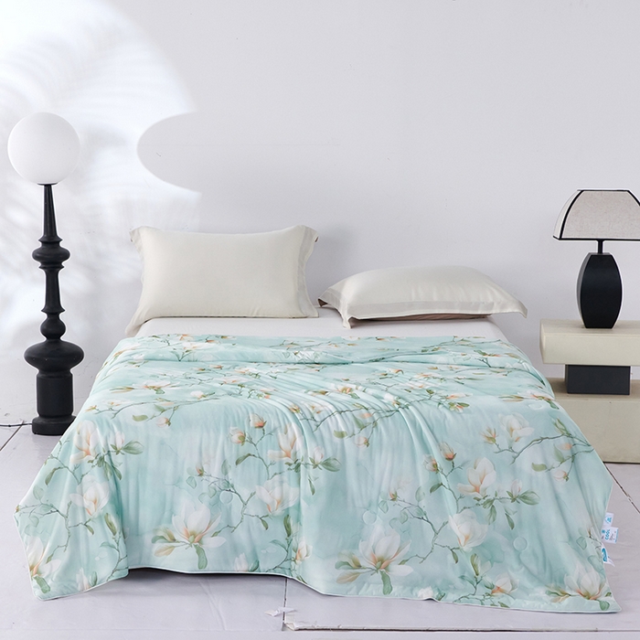 91家纺网 家纺一手货源 找家纺 好老表被业 2025新款亲肤舒适3D印花凉感丝夏被夏凉被空调被 朝花夕拾