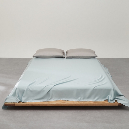 91家纺网 家纺一手货源 找家纺 （总）禧缘家纺（原梦想家） 2025新款60天丝简约舒适纯色单品系列-单床单