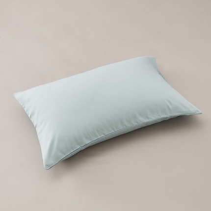 禧缘家纺（原梦想家） 2025新款60天丝简约舒适纯色单品系列-单枕套 天水色