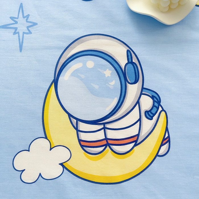 91家纺网 家纺一手货源 找家纺 依庭 2025新款全棉印花花卉款四件套单品系列-单枕套 探索星球