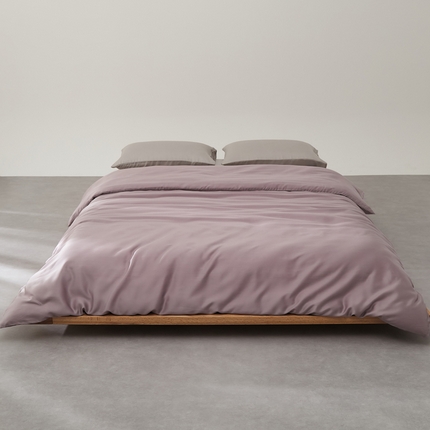 91家纺网 家纺一手货源 找家纺 （总）禧缘家纺（原梦想家） 2025新款60天丝简约舒适纯色单品系列-单被套