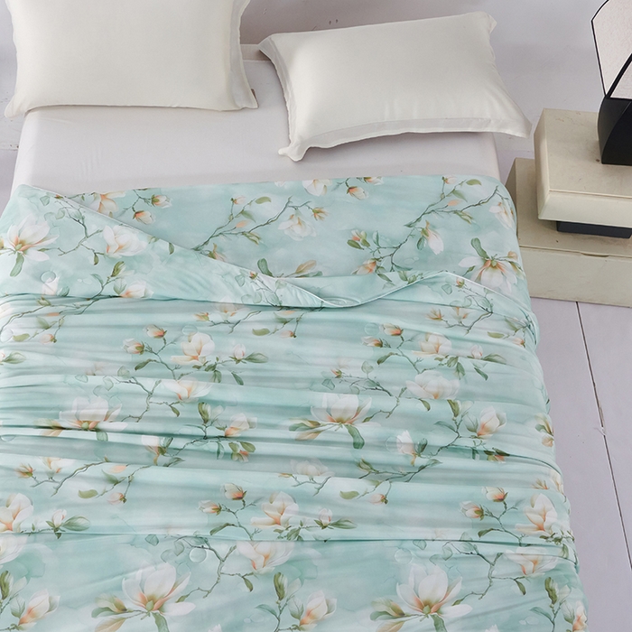 91家纺网 家纺一手货源 找家纺 好老表被业 2025新款亲肤舒适3D印花凉感丝夏被夏凉被空调被 朝花夕拾